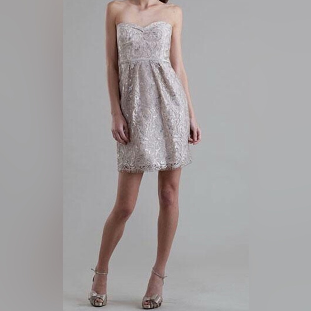 Jenny Yoo Strapless Lace Dress